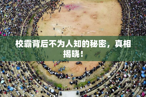 校霸背后不为人知的秘密，真相揭晓！