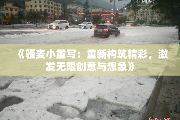 《骚麦小重写：重新构筑精彩，激发无限创意与想象》