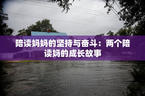 陪读妈妈的坚持与奋斗：两个陪读妈的成长故事