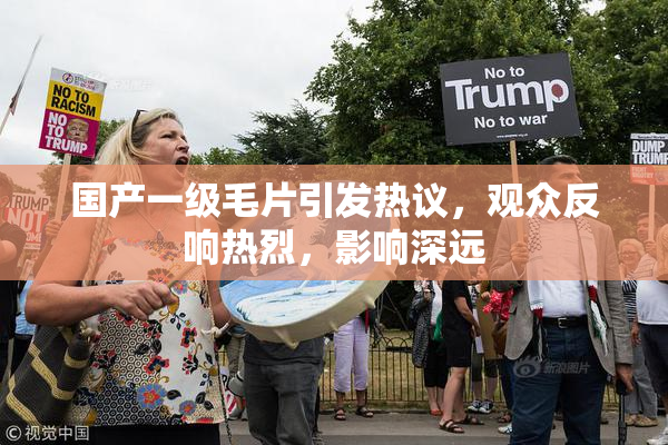 国产一级毛片引发热议，观众反响热烈，影响深远