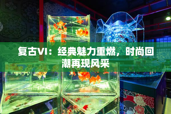 复古VI：经典魅力重燃，时尚回潮再现风采