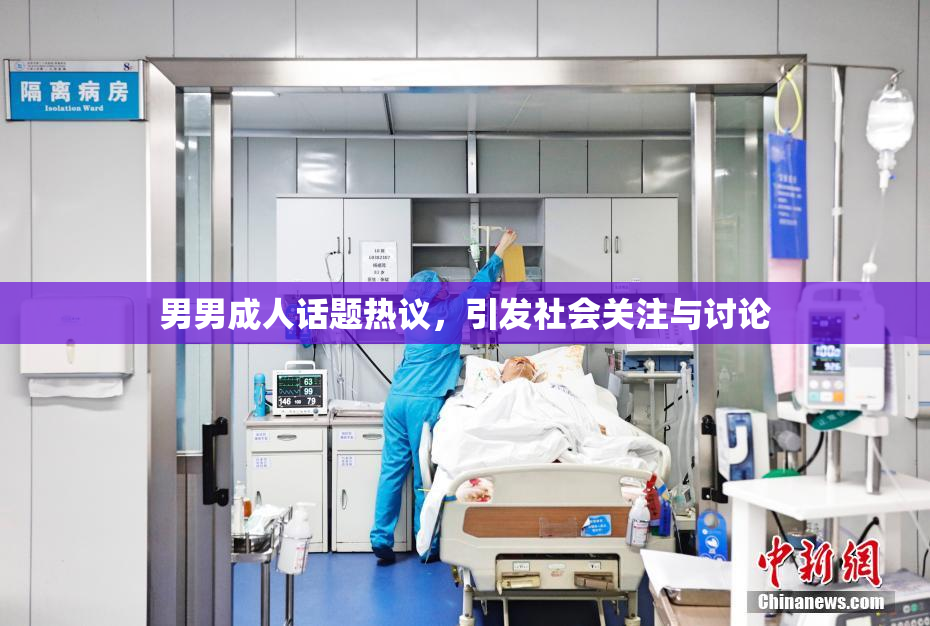 男男成人话题热议，引发社会关注与讨论