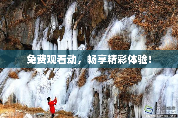 免费观看动，畅享精彩体验！