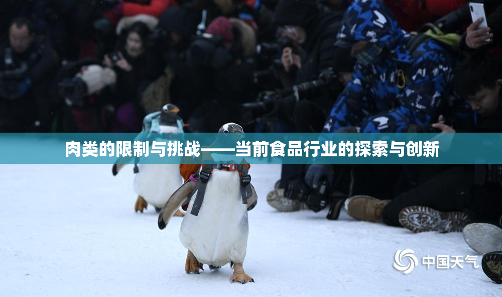肉类的限制与挑战——当前食品行业的探索与创新