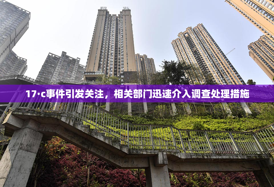 17·c事件引发关注，相关部门迅速介入调查处理措施