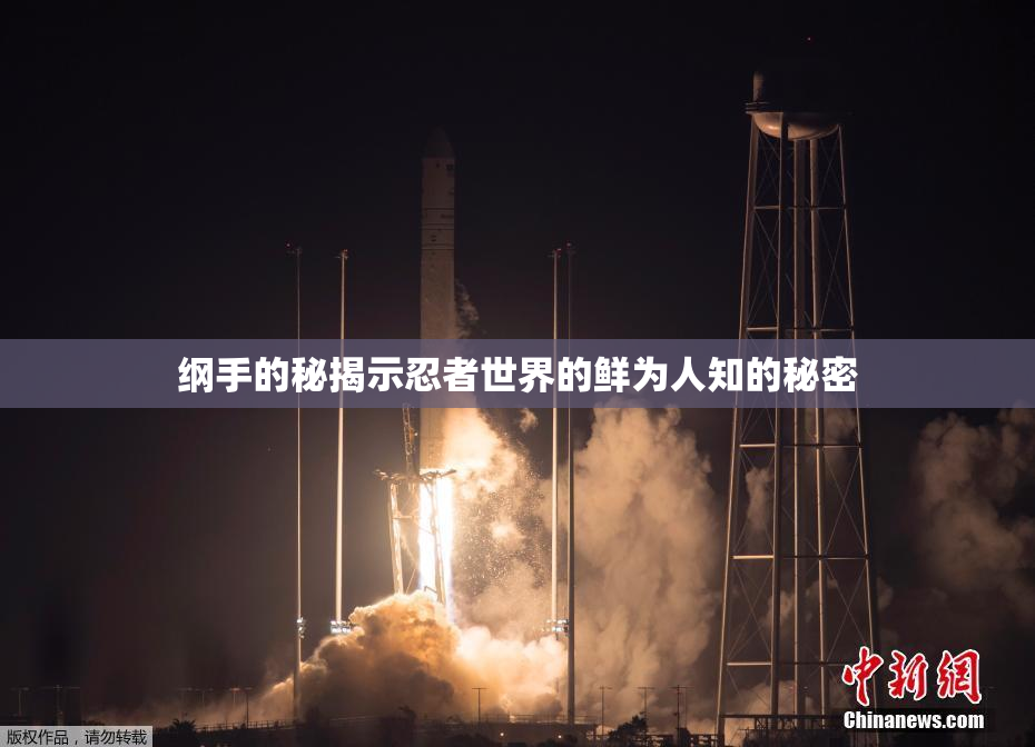 纲手的秘揭示忍者世界的鲜为人知的秘密