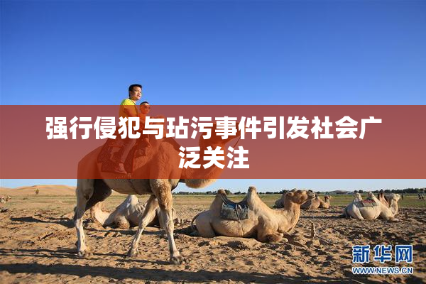 强行侵犯与玷污事件引发社会广泛关注
