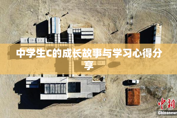 中学生C的成长故事与学习心得分享