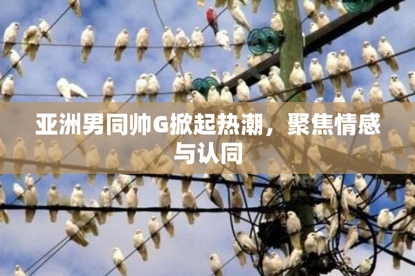 亚洲男同帅G掀起热潮，聚焦情感与认同