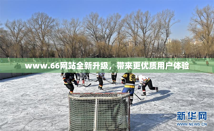 www.66网站全新升级，带来更优质用户体验