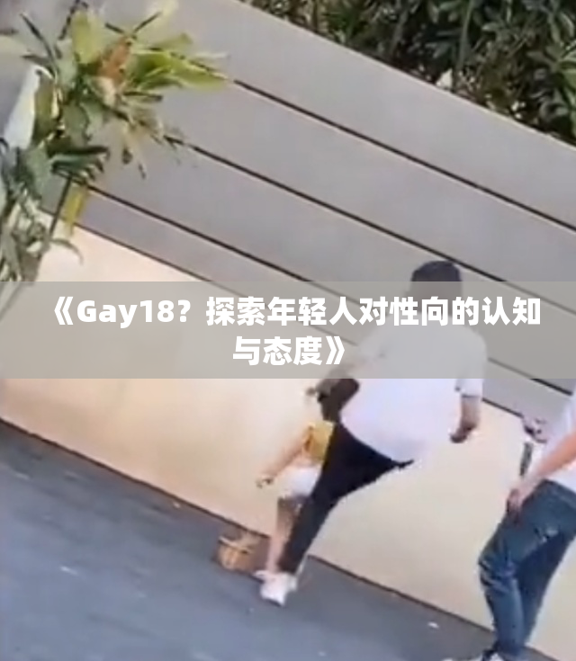 《Gay18？探索年轻人对性向的认知与态度》
