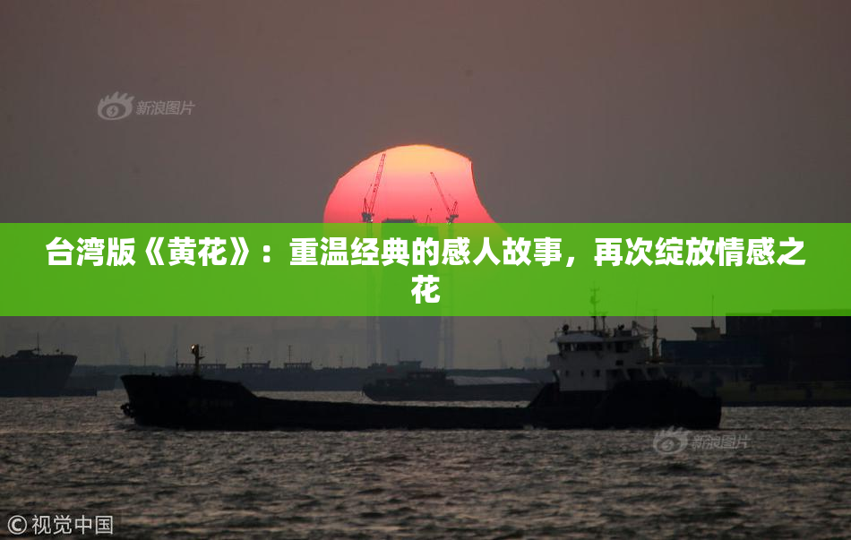 台湾版《黄花》：重温经典的感人故事，再次绽放情感之花