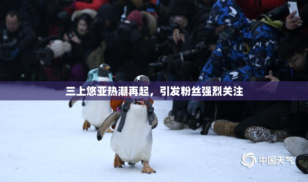 三上悠亚热潮再起，引发粉丝强烈关注