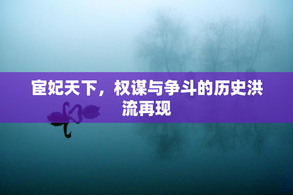 宦妃天下，权谋与争斗的历史洪流再现