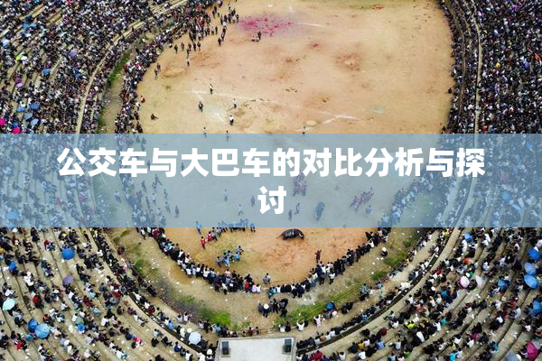 公交车与大巴车的对比分析与探讨