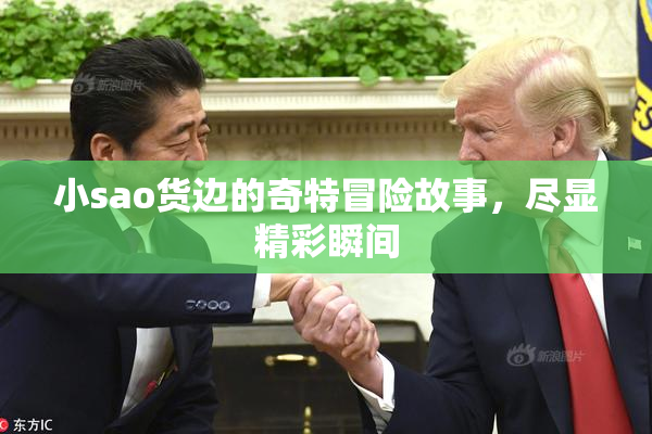 小sao货边的奇特冒险故事，尽显精彩瞬间