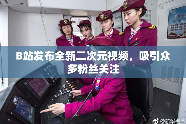 B站发布全新二次元视频，吸引众多粉丝关注