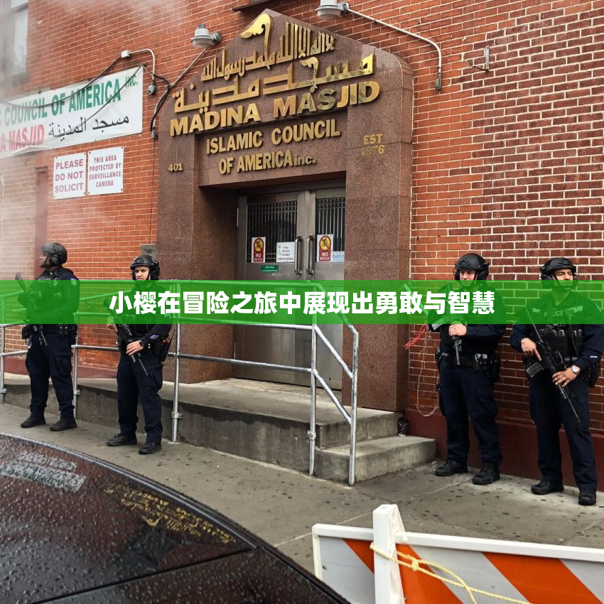 小樱在冒险之旅中展现出勇敢与智慧