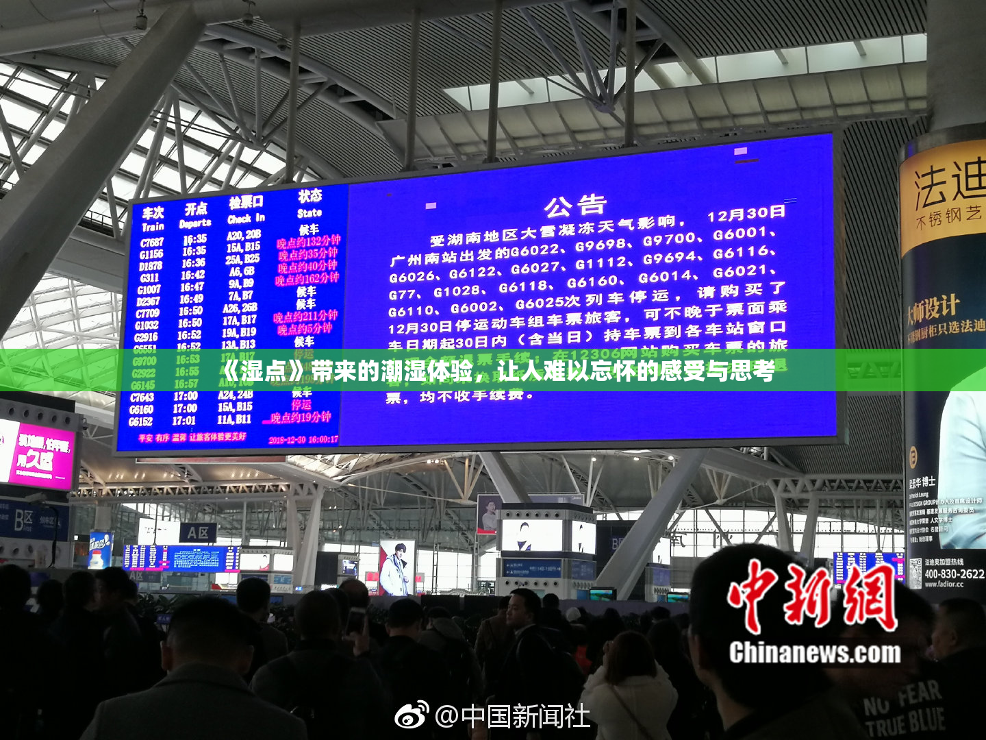 《湿点》带来的潮湿体验，让人难以忘怀的感受与思考