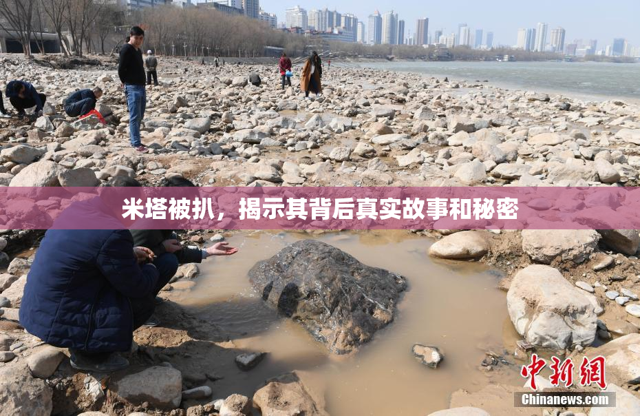 米塔被扒，揭示其背后真实故事和秘密