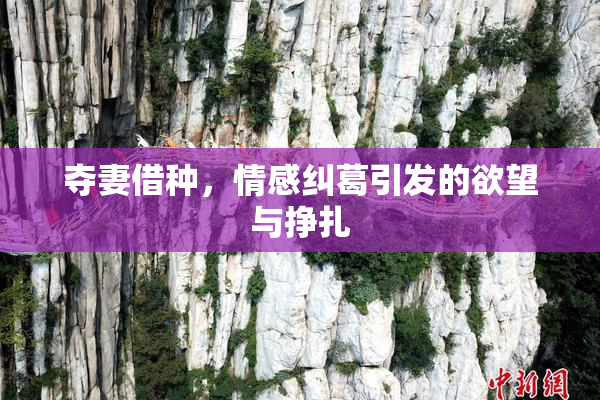 夺妻借种，情感纠葛引发的欲望与挣扎