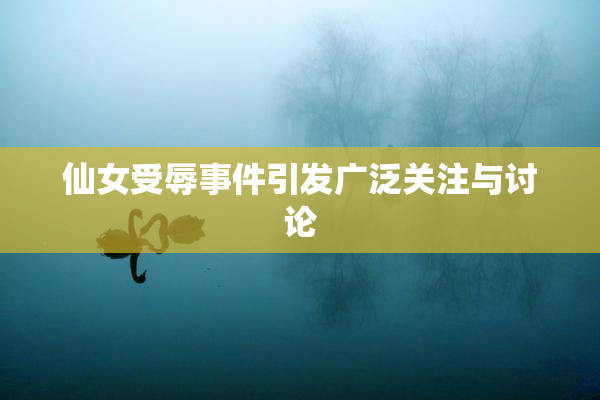 仙女受辱事件引发广泛关注与讨论