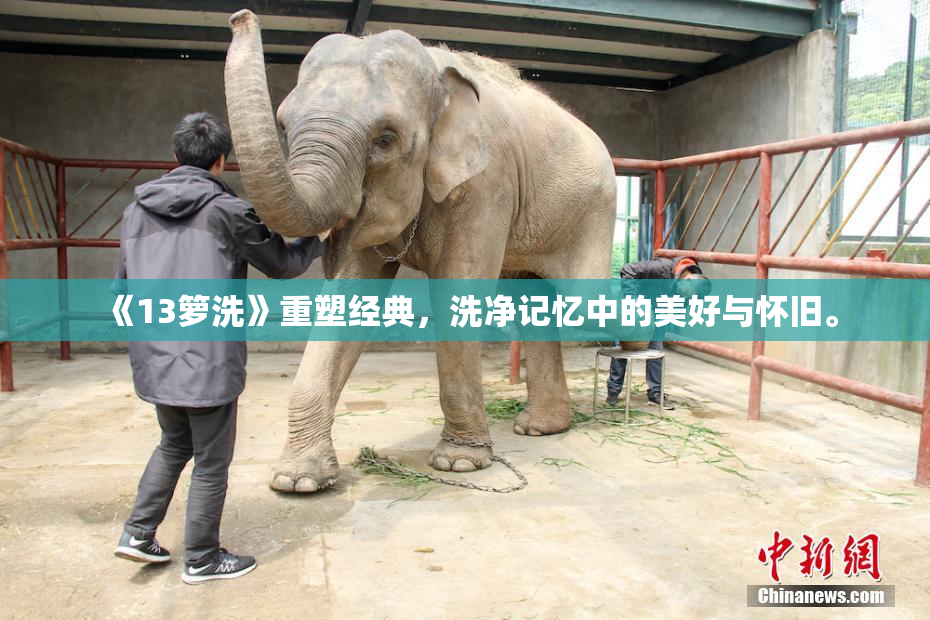 《13箩洗》重塑经典，洗净记忆中的美好与怀旧。
