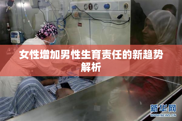 女性增加男性生育责任的新趋势解析