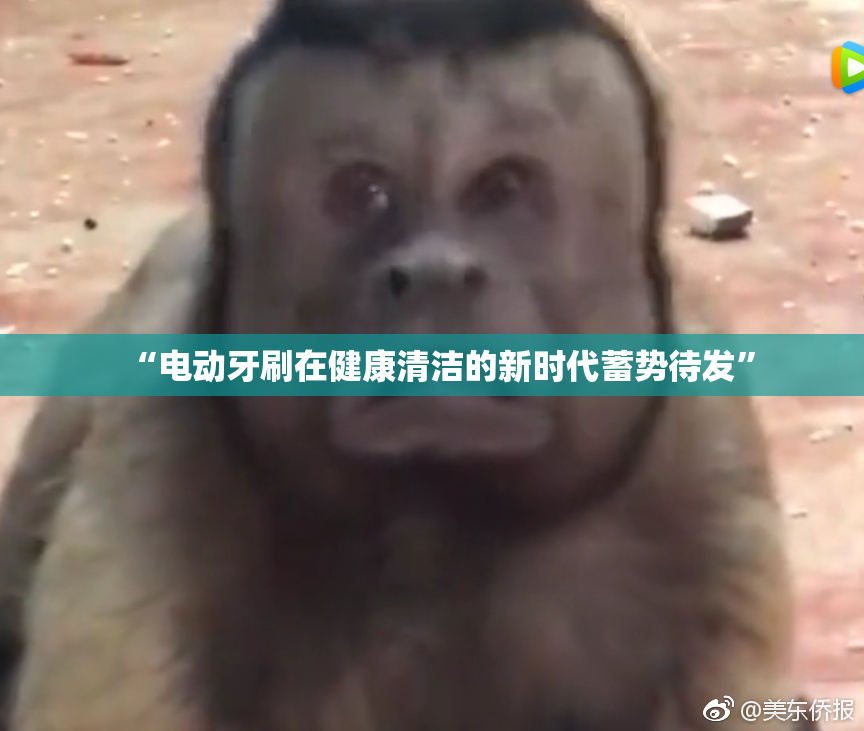 “电动牙刷在健康清洁的新时代蓄势待发”