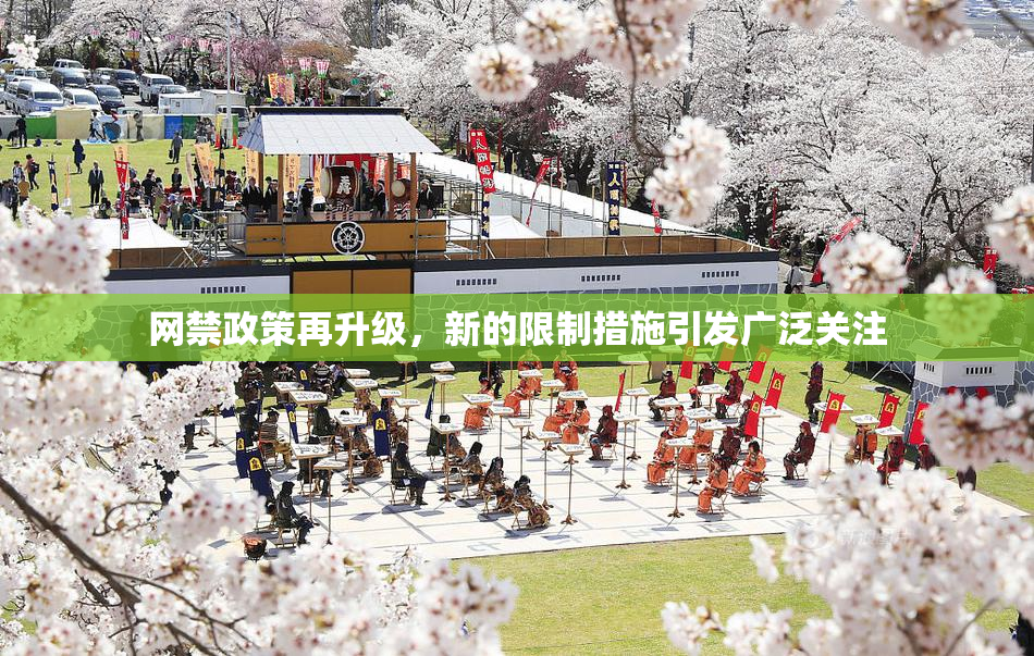 网禁政策再升级，新的限制措施引发广泛关注