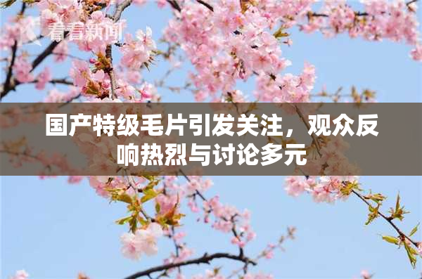 国产特级毛片引发关注，观众反响热烈与讨论多元