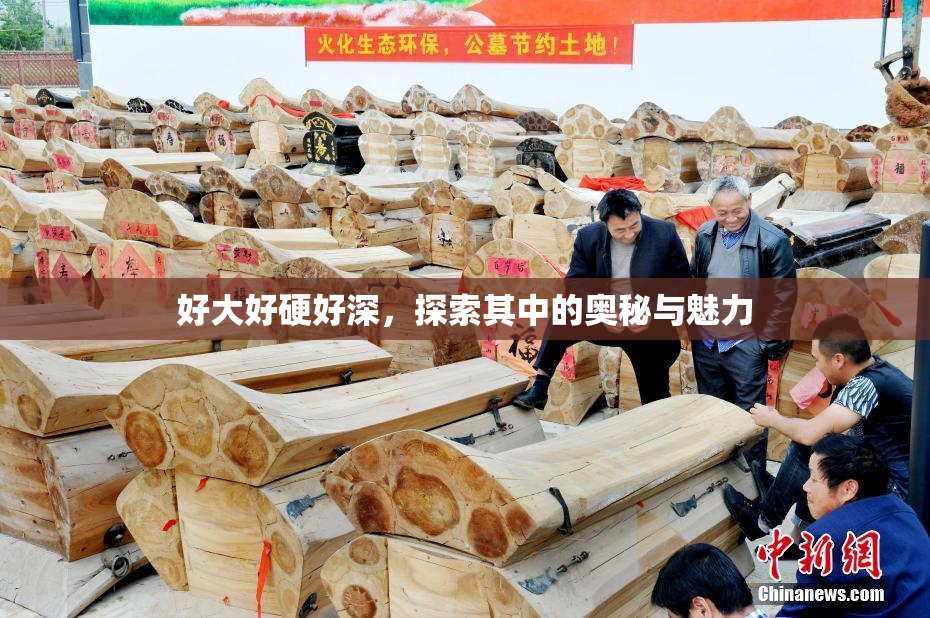 好大好硬好深，探索其中的奥秘与魅力