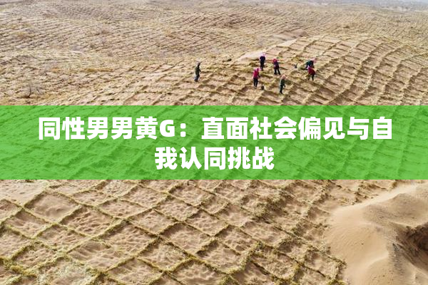 同性男男黄G：直面社会偏见与自我认同挑战