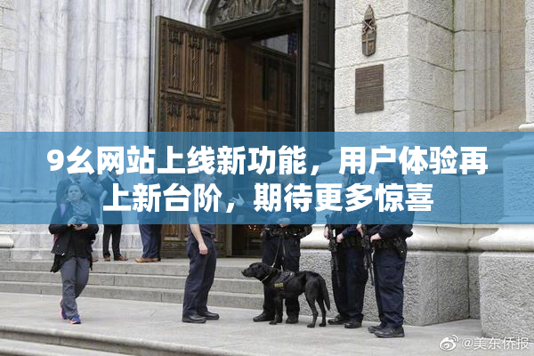 9幺网站上线新功能，用户体验再上新台阶，期待更多惊喜