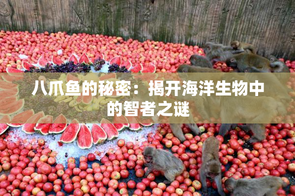 八爪鱼的秘密：揭开海洋生物中的智者之谜
