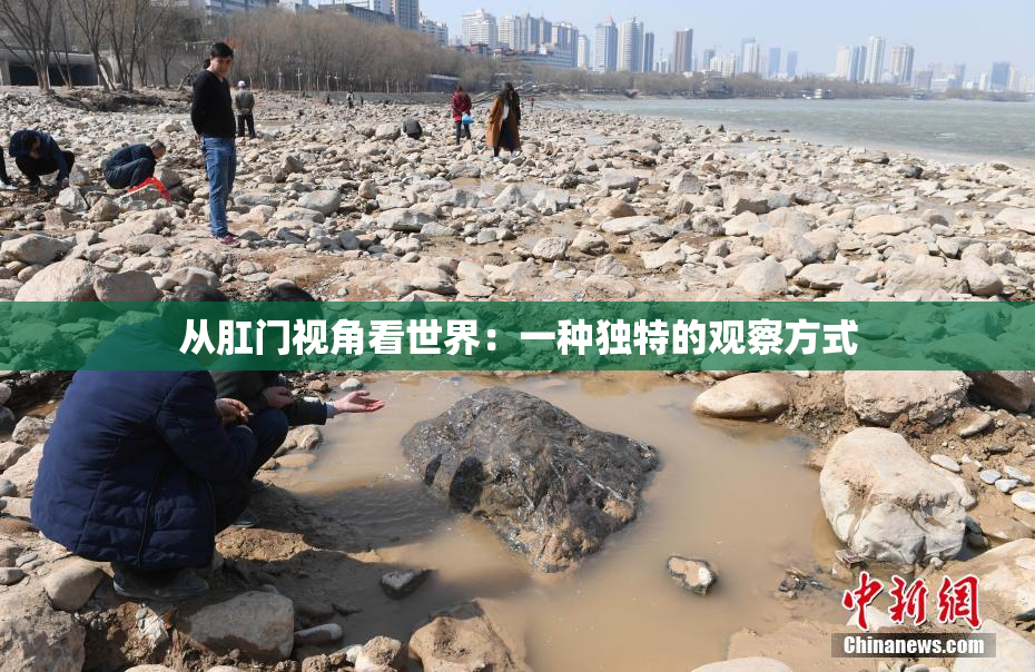 从肛门视角看世界：一种独特的观察方式
