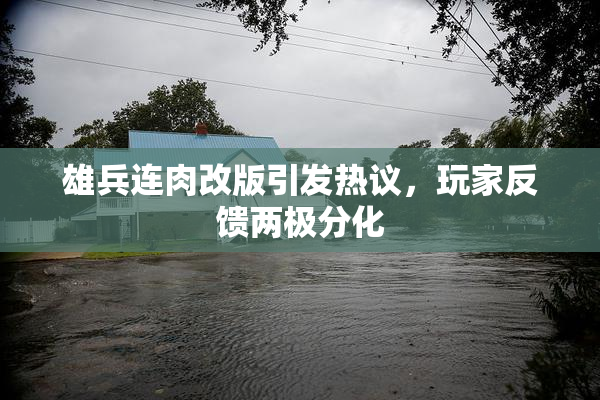 雄兵连肉改版引发热议，玩家反馈两极分化