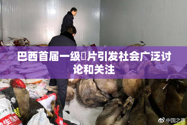 巴西首届一级婬片引发社会广泛讨论和关注