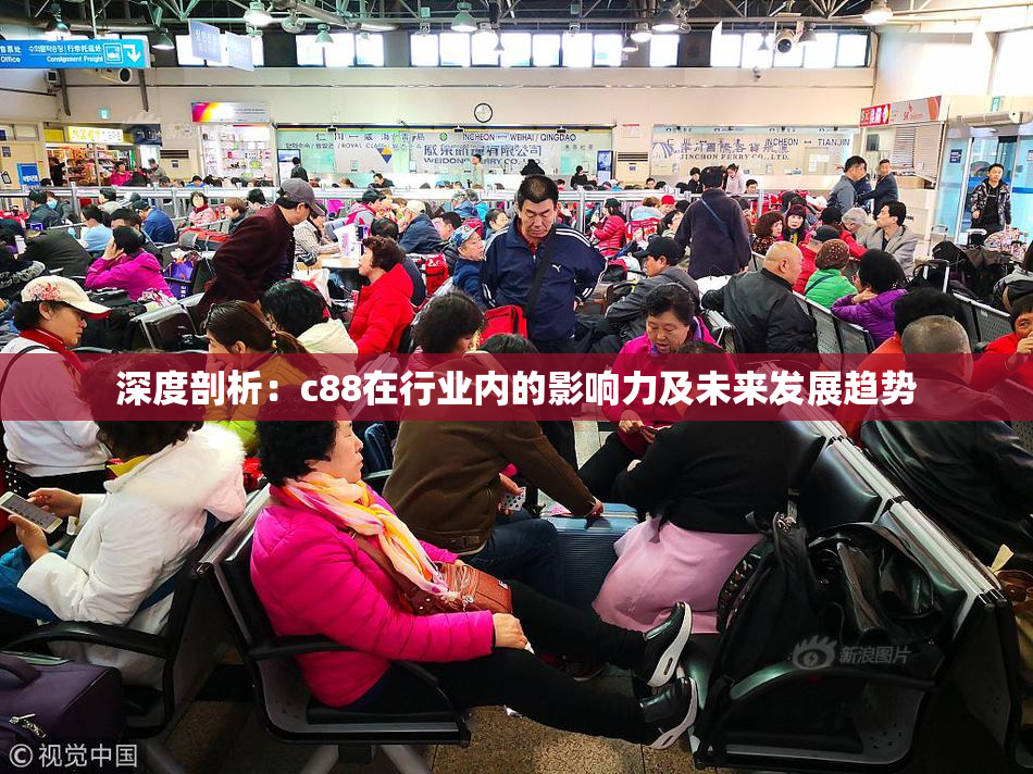 深度剖析：c88在行业内的影响力及未来发展趋势