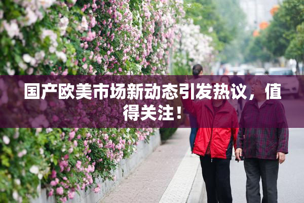 国产欧美市场新动态引发热议，值得关注！