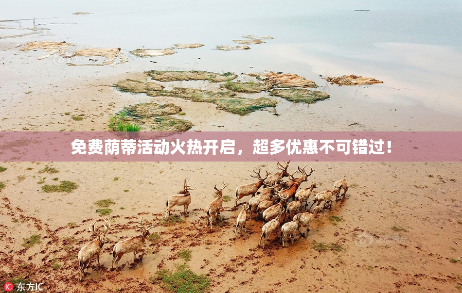 免费荫蒂活动火热开启，超多优惠不可错过！