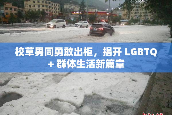 校草男同勇敢出柜，揭开 LGBTQ+ 群体生活新篇章
