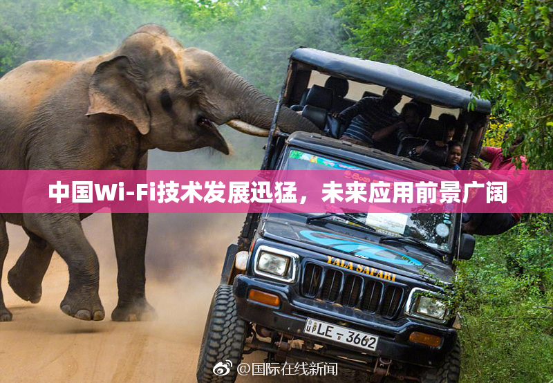 中国Wi-Fi技术发展迅猛，未来应用前景广阔