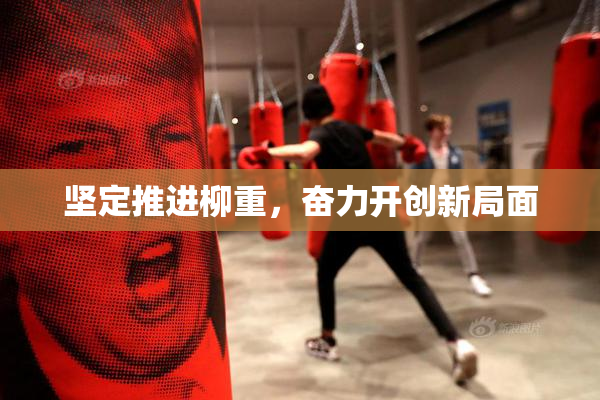 坚定推进柳重，奋力开创新局面
