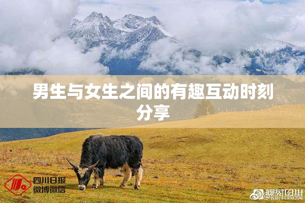 男生与女生之间的有趣互动时刻分享