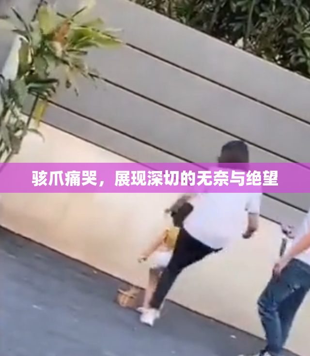 骇爪痛哭，展现深切的无奈与绝望