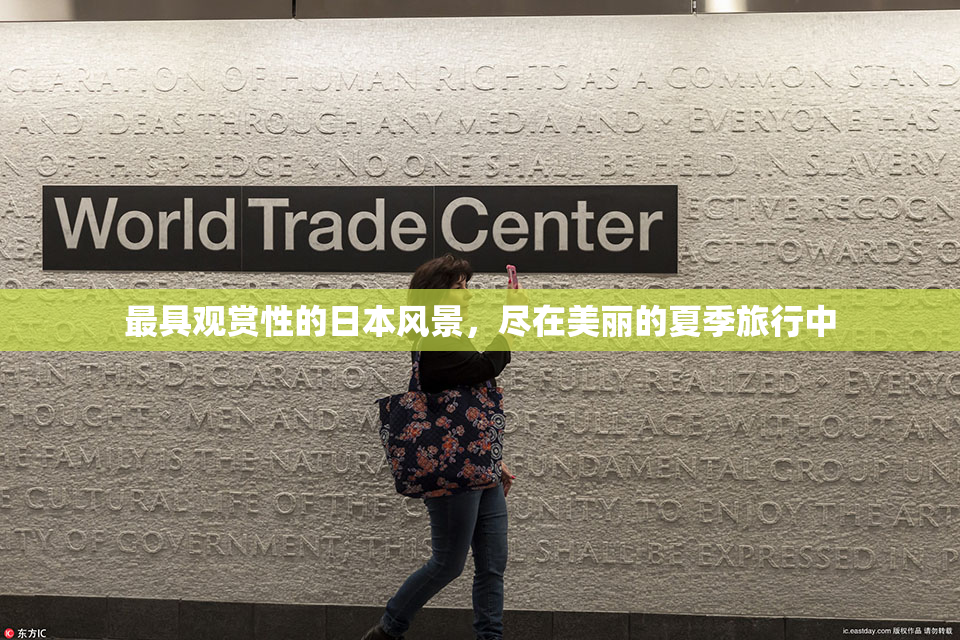 最具观赏性的日本风景，尽在美丽的夏季旅行中