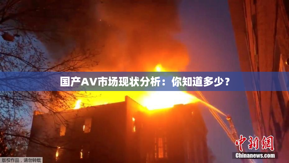 国产AV市场现状分析：你知道多少？