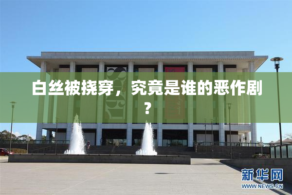 白丝被挠穿，究竟是谁的恶作剧？