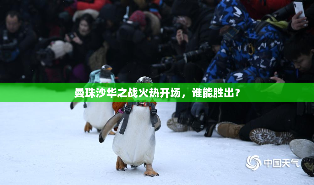 曼珠沙华之战火热开场，谁能胜出？